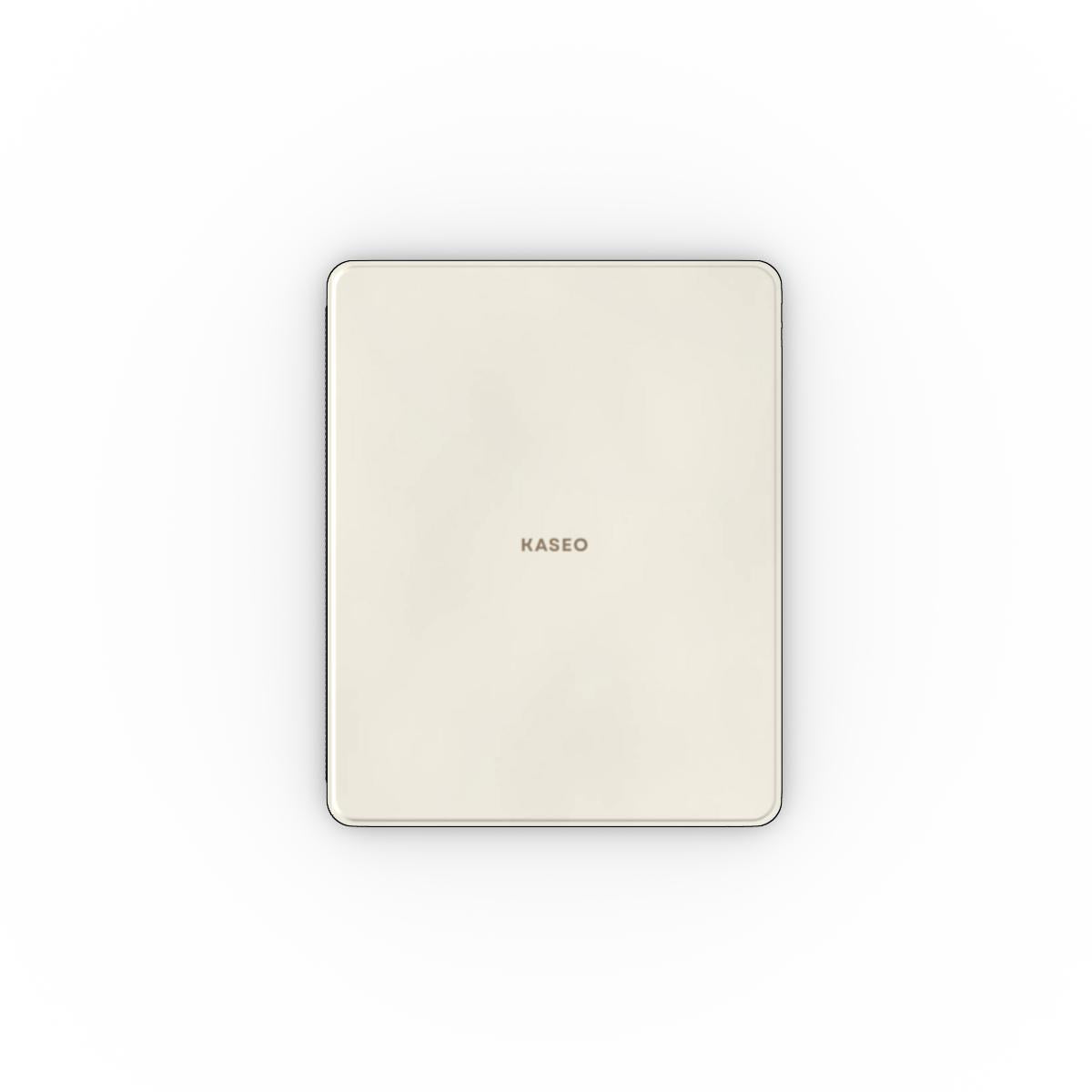 Ivory - Apple iPad Case
