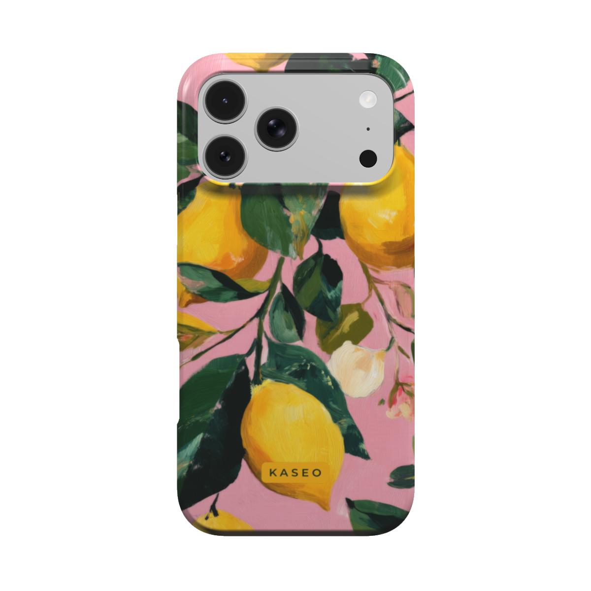 Sorrento MagSafe phone case