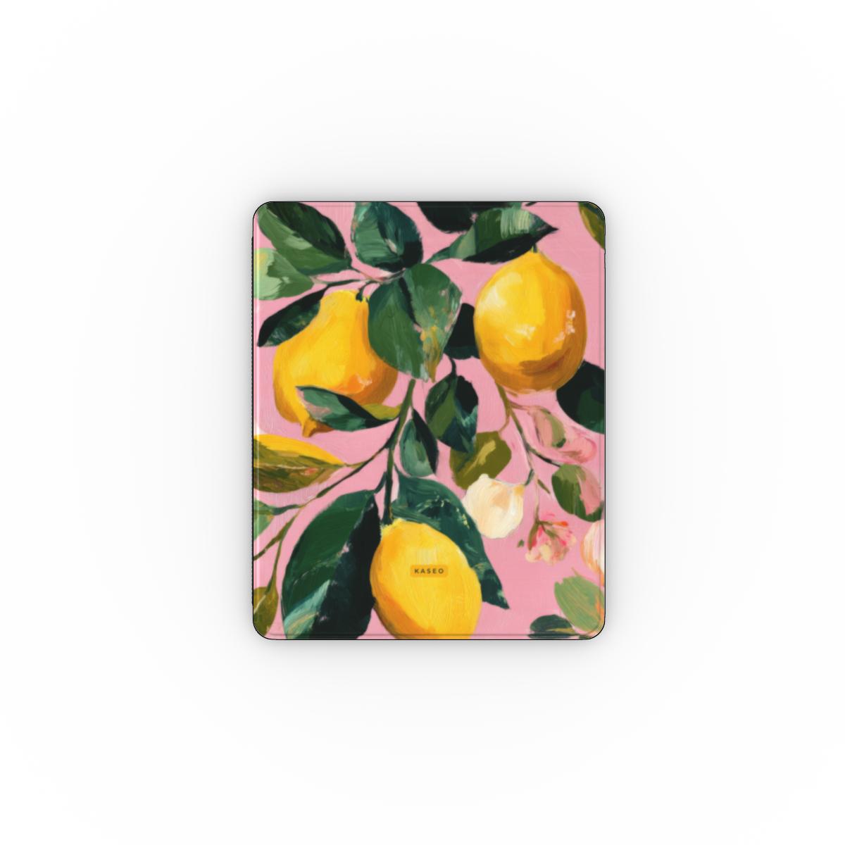 Sorrento - Apple iPad Case