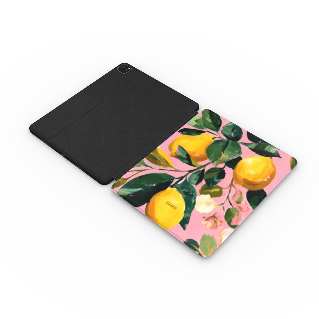Sorrento - Apple iPad Case